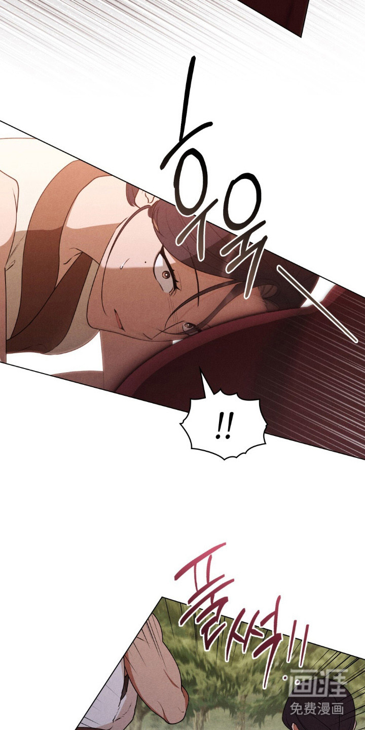 暖冬孤狼伴第5话图