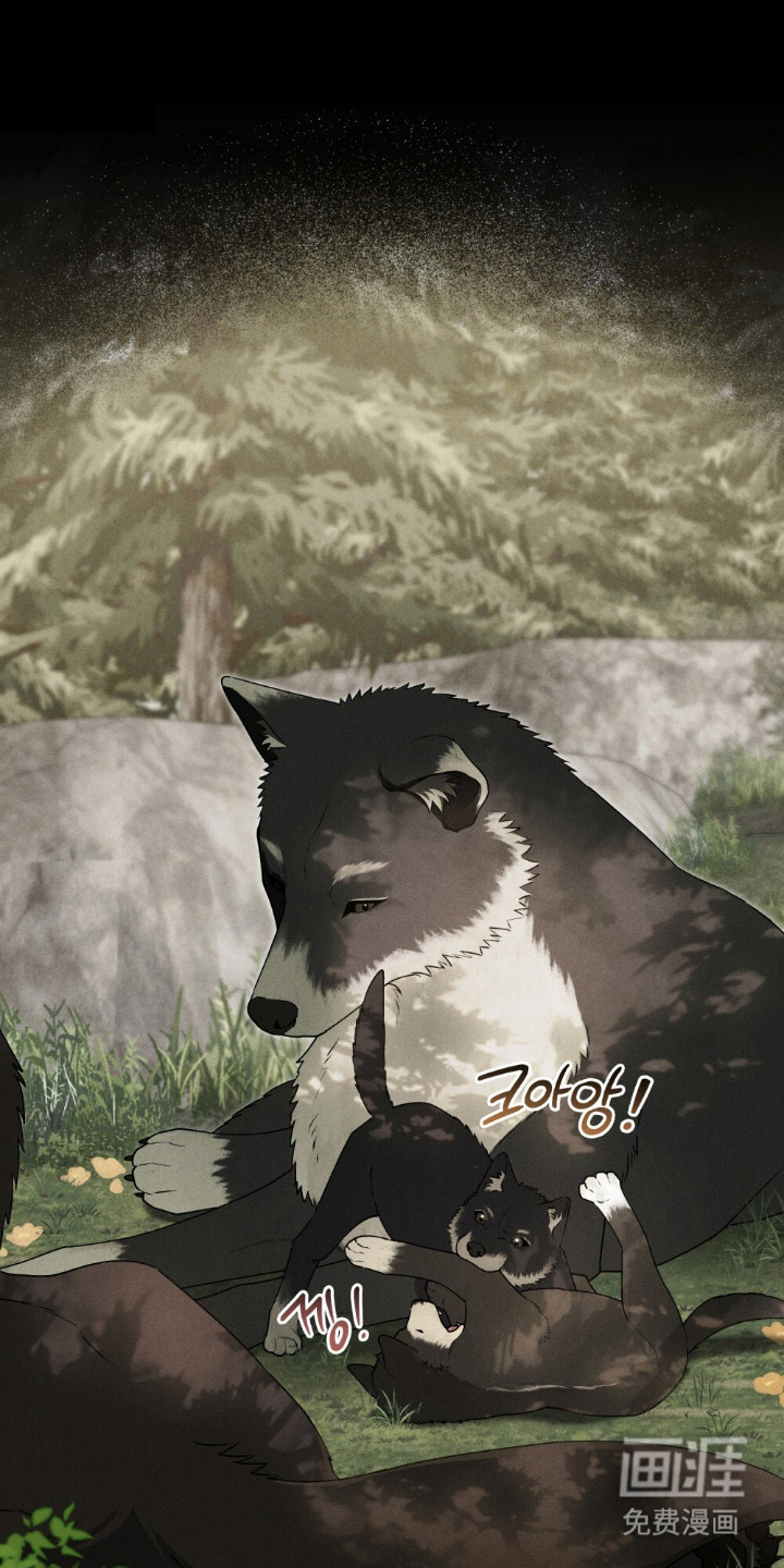 暖冬孤狼伴第7话图
