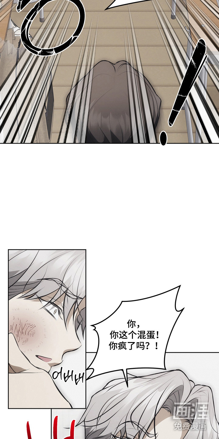 逆命欧米伽漫画-图6