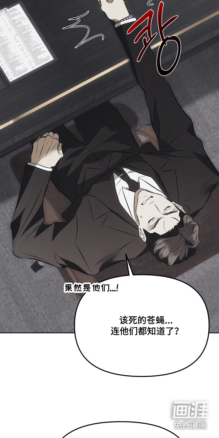 逆命欧米伽漫画-图11