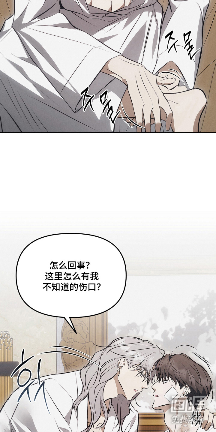 逆命欧米伽漫画-图15