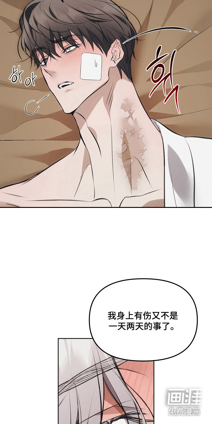 逆命欧米伽漫画-图19