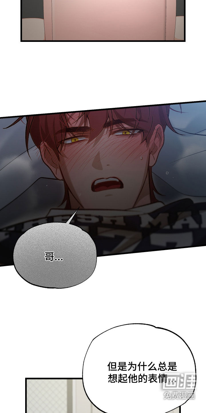 逆轨交织漫画-图15