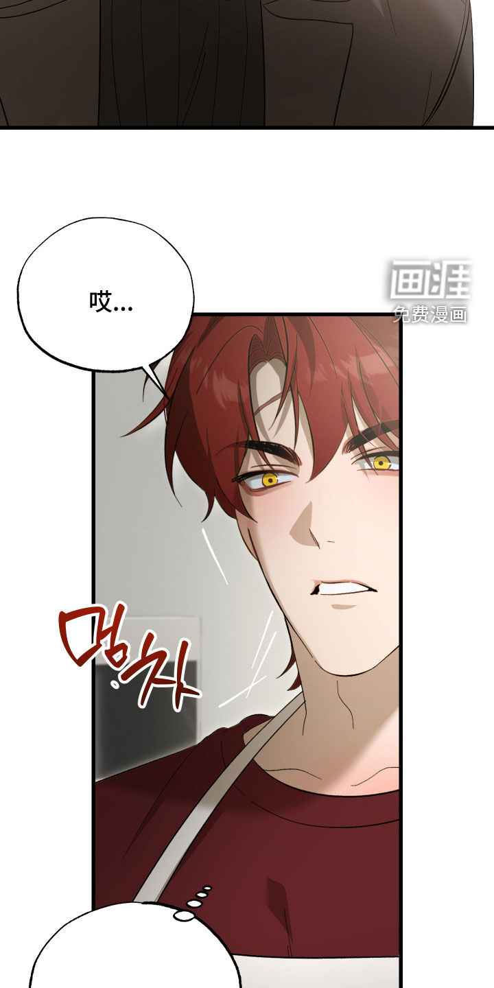 逆轨交织漫画-图5