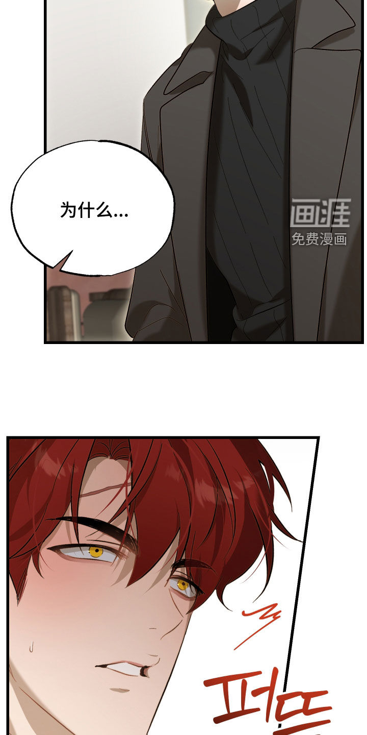 逆轨交织漫画-图13