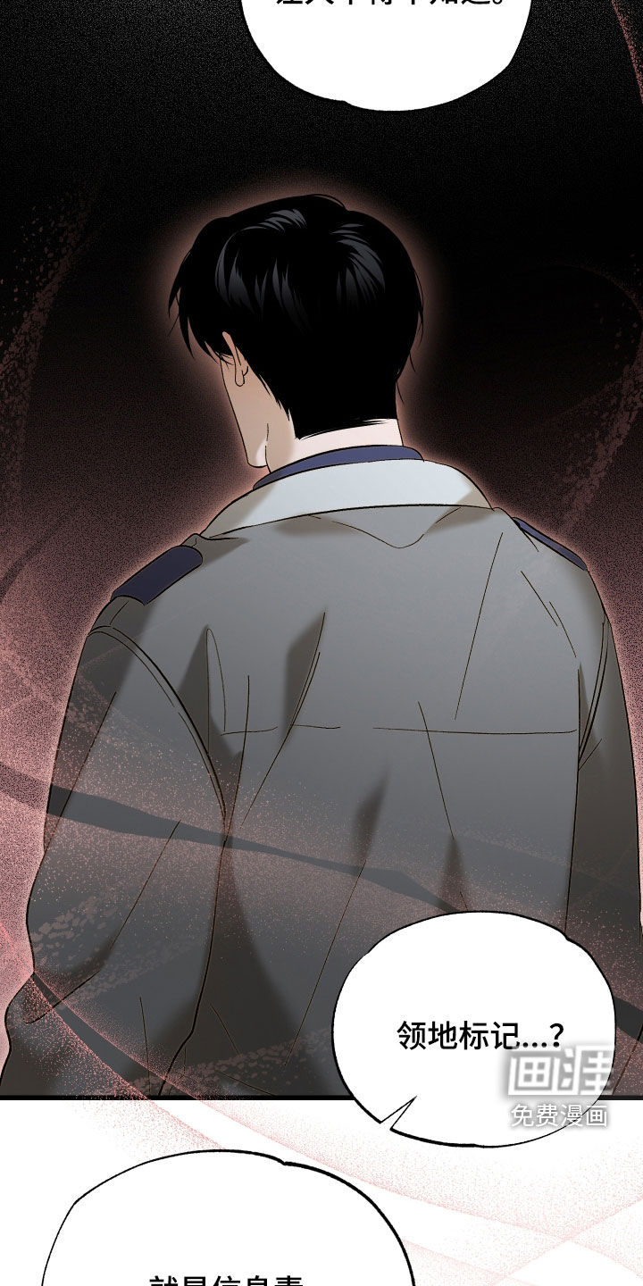 逆轨交织漫画-图25