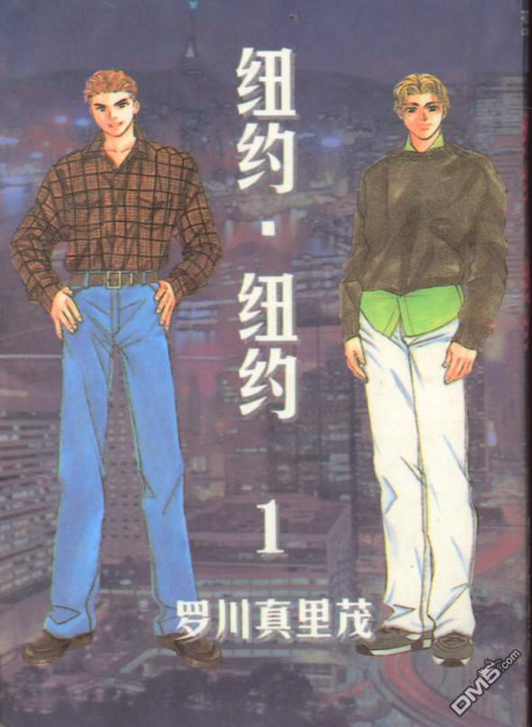 纽约纽约第1卷图