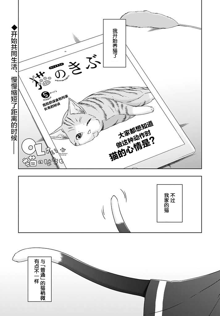 OL小姐与猫的故事4话图