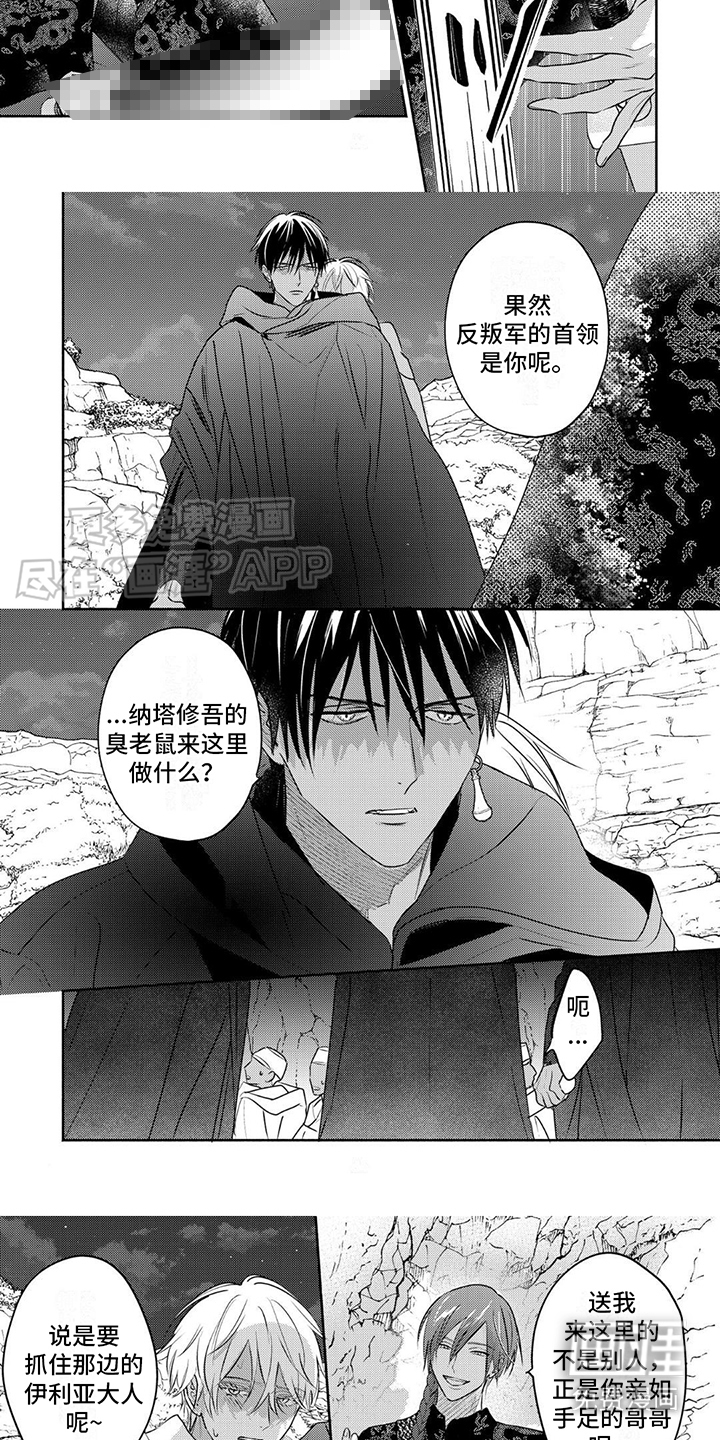 欧米伽王后第27话图