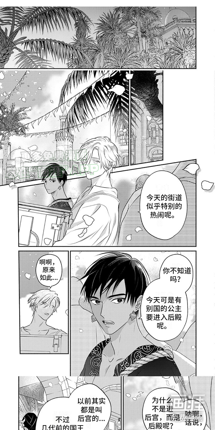 欧米伽王后第39话图