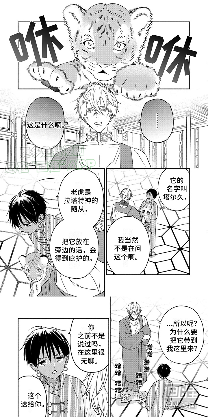 欧米伽王后第6话图