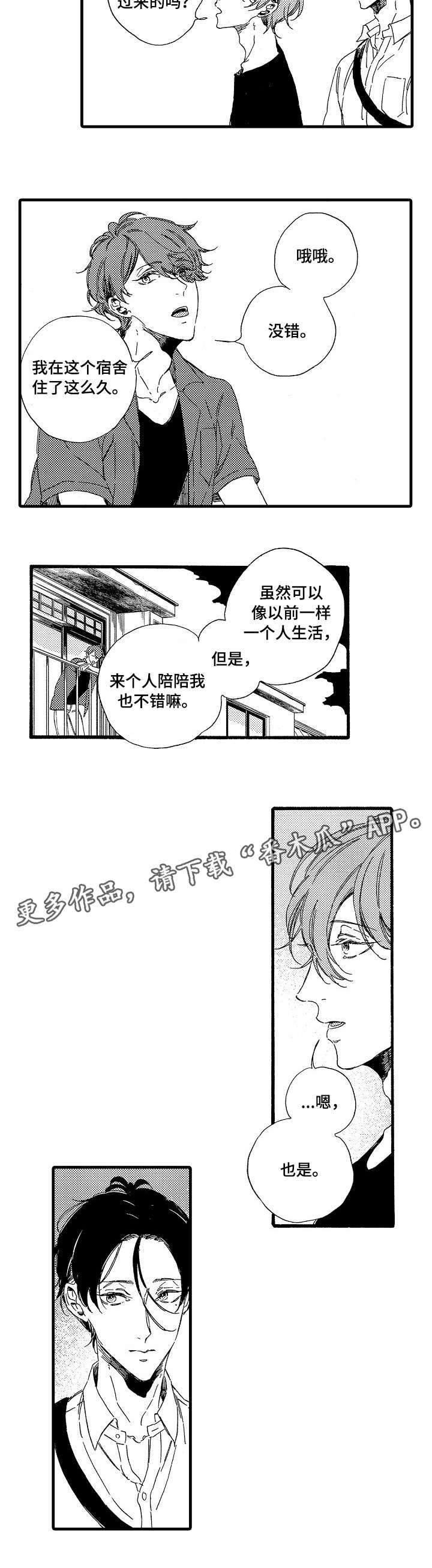 欧米伽小岛第9话图