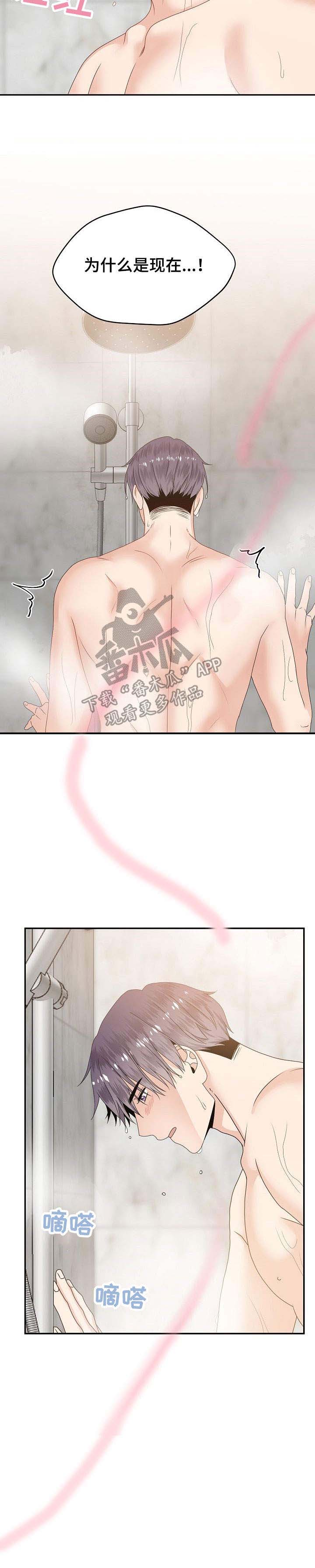 欧米伽合约第29话图