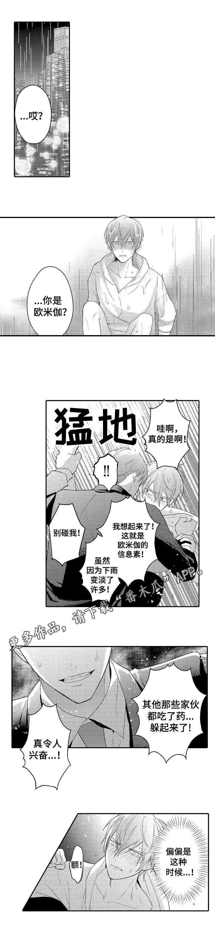 欧米伽社团第26话图