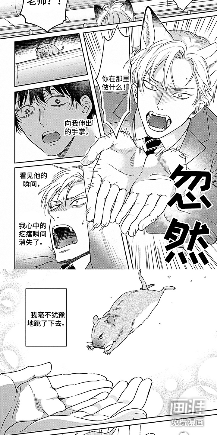 欧米茄让我流泪第17话图