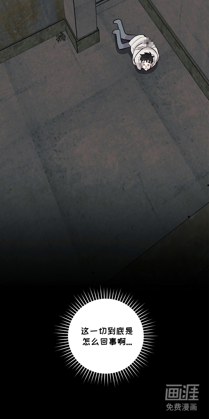 欧文的心脏第6话图