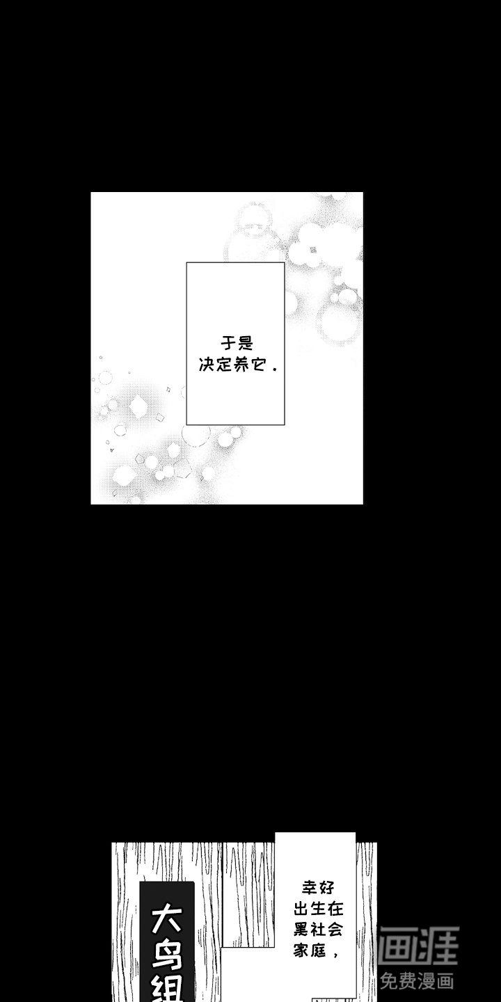 欧米茄落入黑道之手第19话图