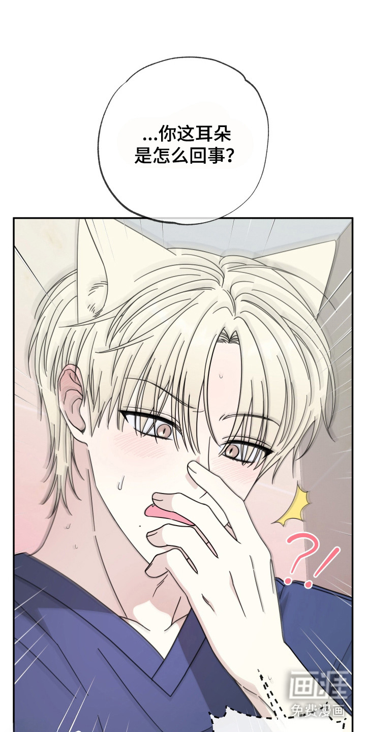 偶像有猫腻第4话图