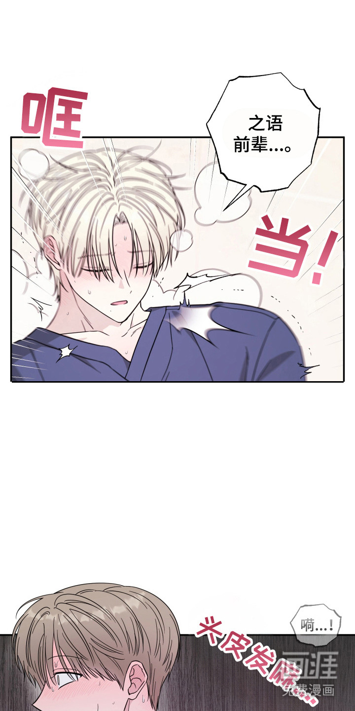 偶像有猫腻第5话图