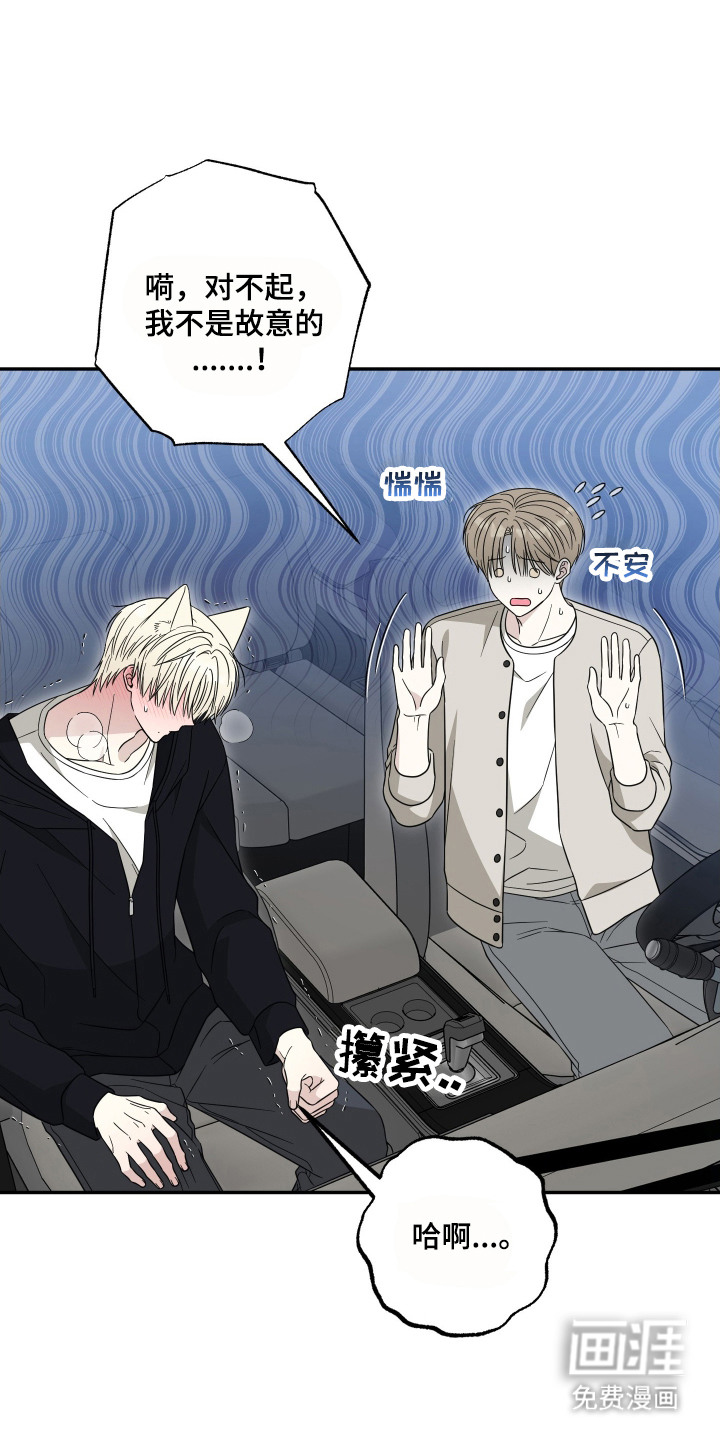 偶像有猫腻第7话图