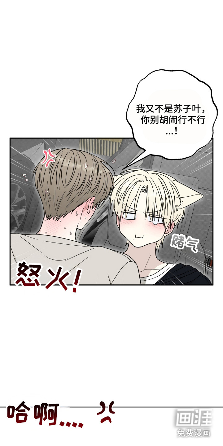 偶像有猫腻第8话图