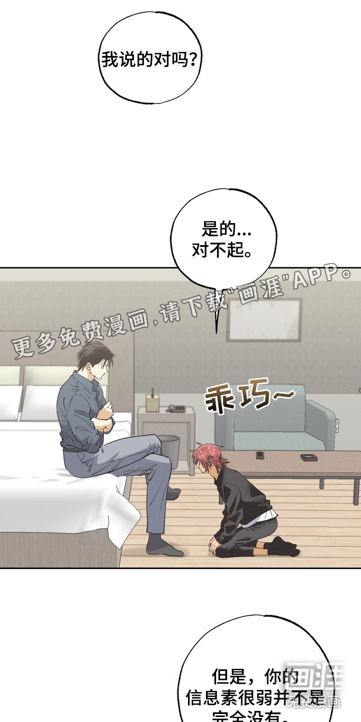 欧米伽骗局第5话图