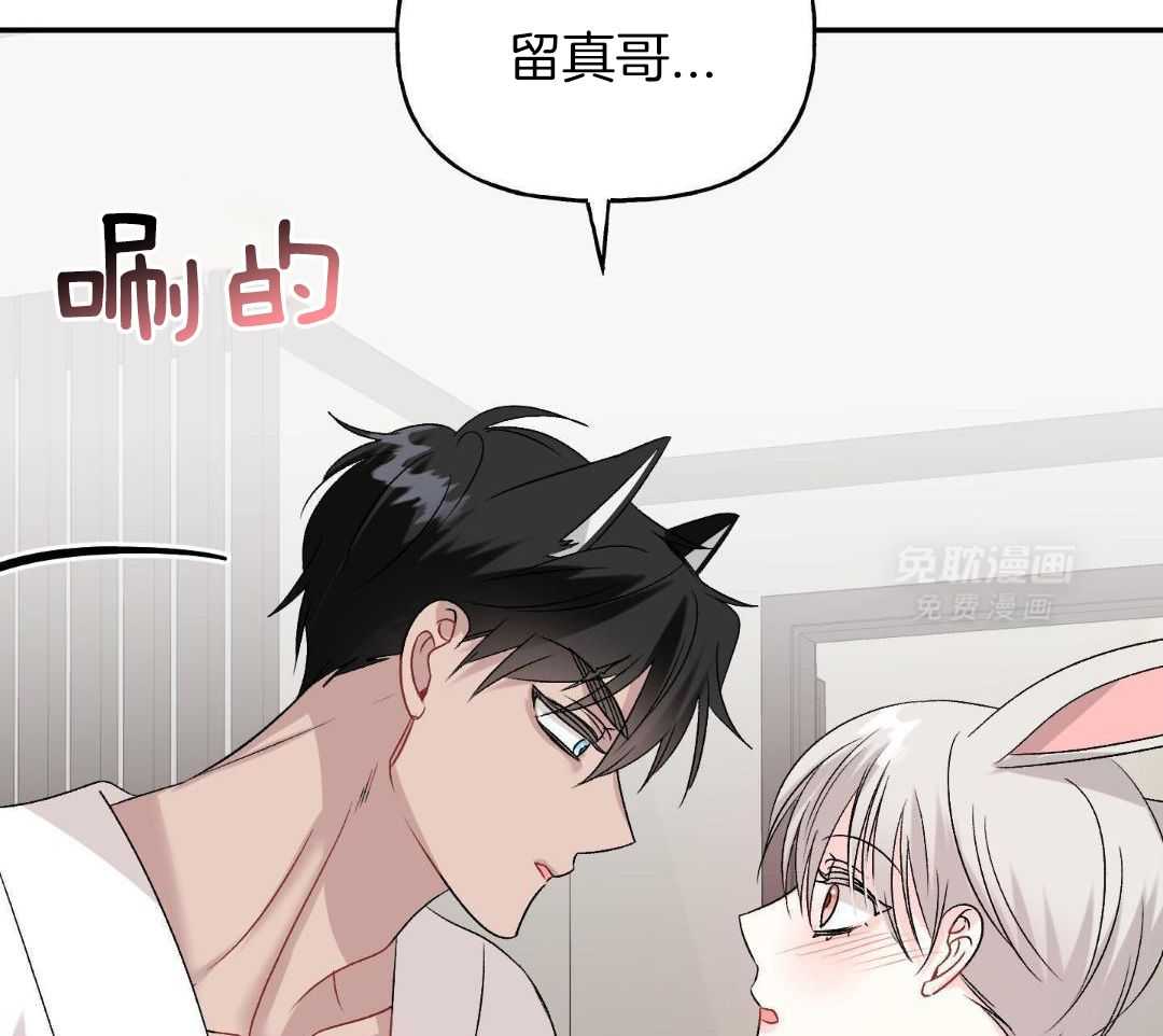 骗婚娇夫是头狼第11话图