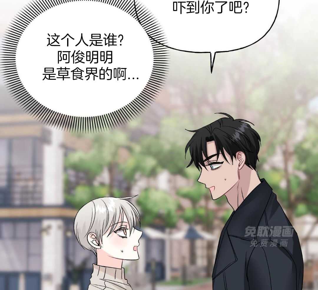 骗婚娇夫是头狼第3话图