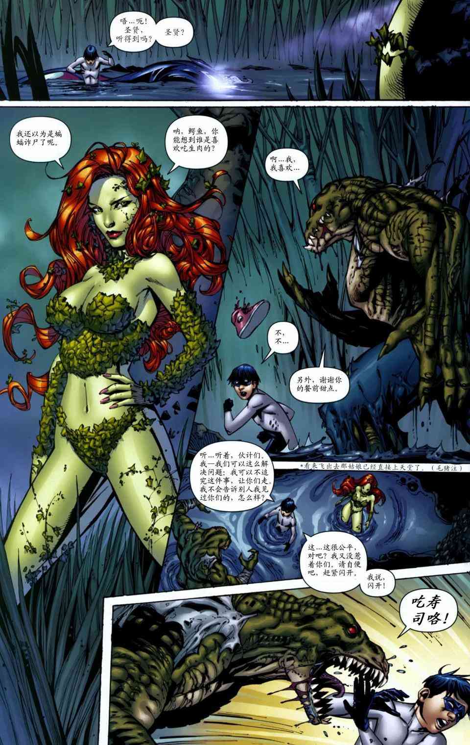 披风争夺战1卷图