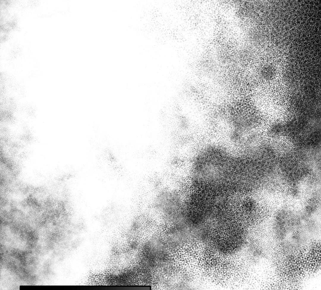 偏执占有 第2话 第35页