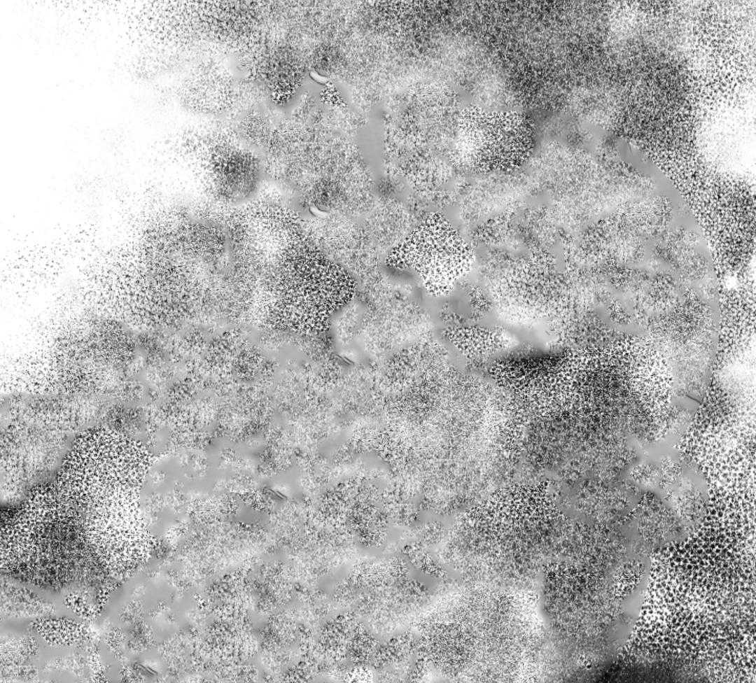 偏执占有 第2话 第39页