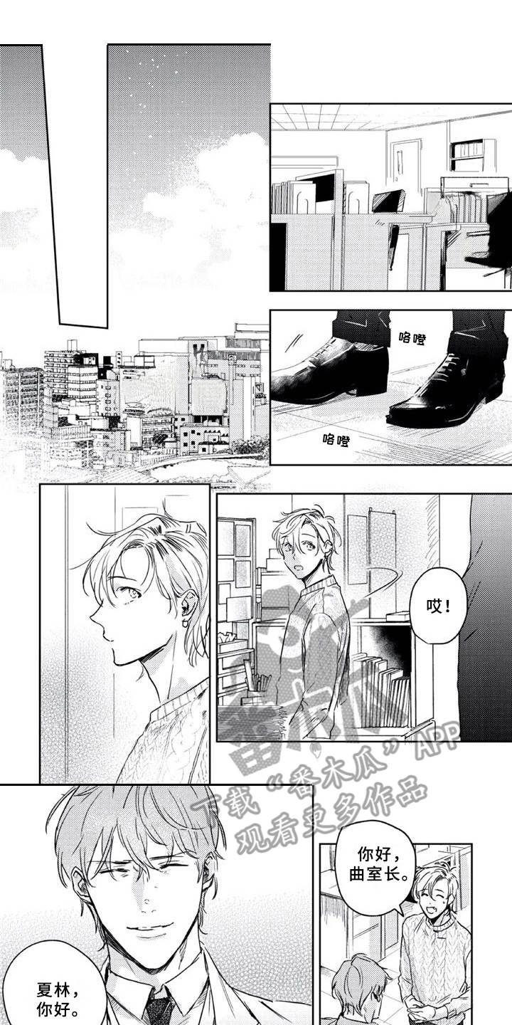 朋克宝贝第11话图