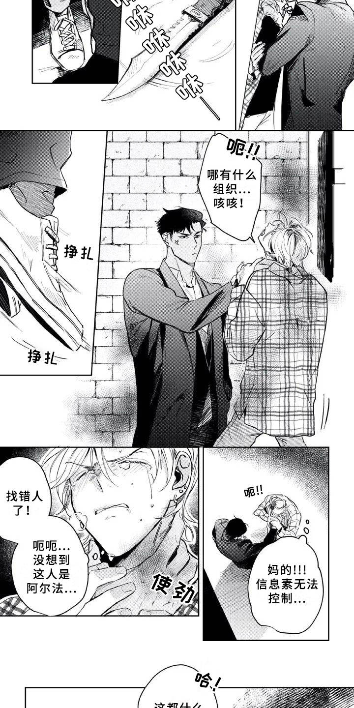 朋克宝贝漫画-图2