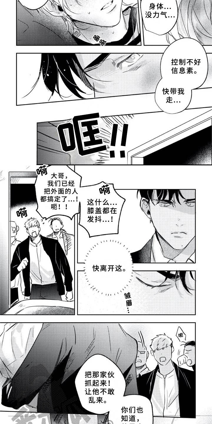 朋克宝贝第20话图