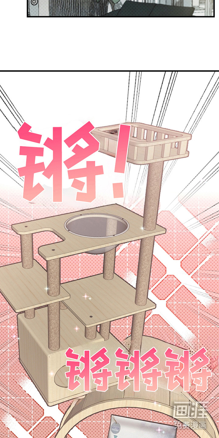 赔偿条约第29话图