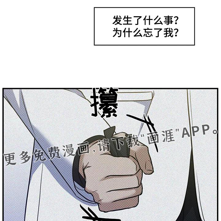 盘根错节第37话图