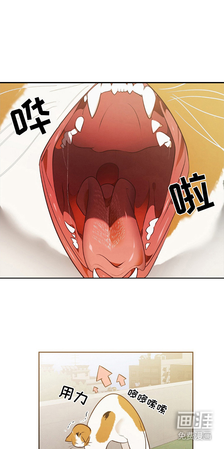 痞子警卫第11话图