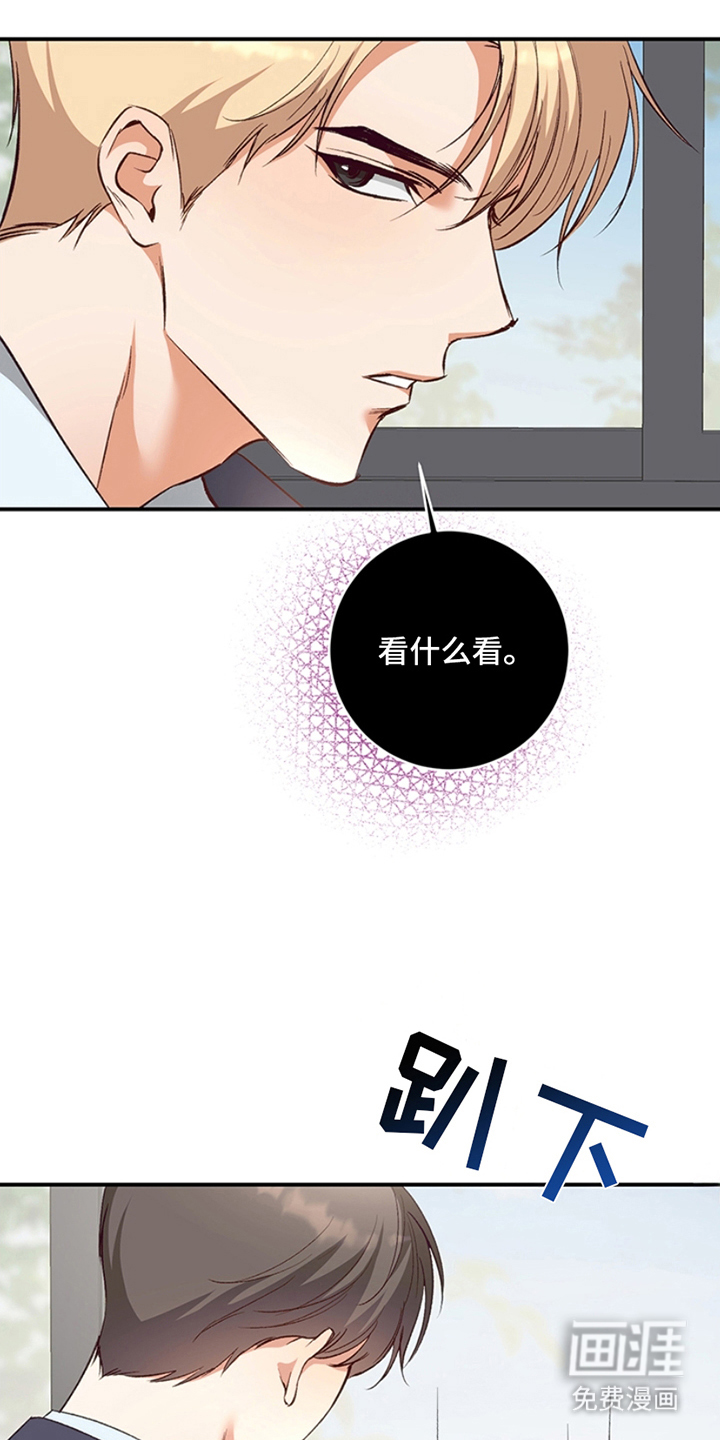 蒲公英观察日第10话图