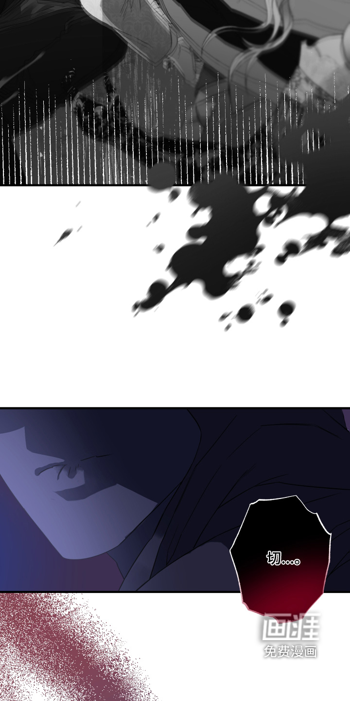 披风下的誓言第13话图