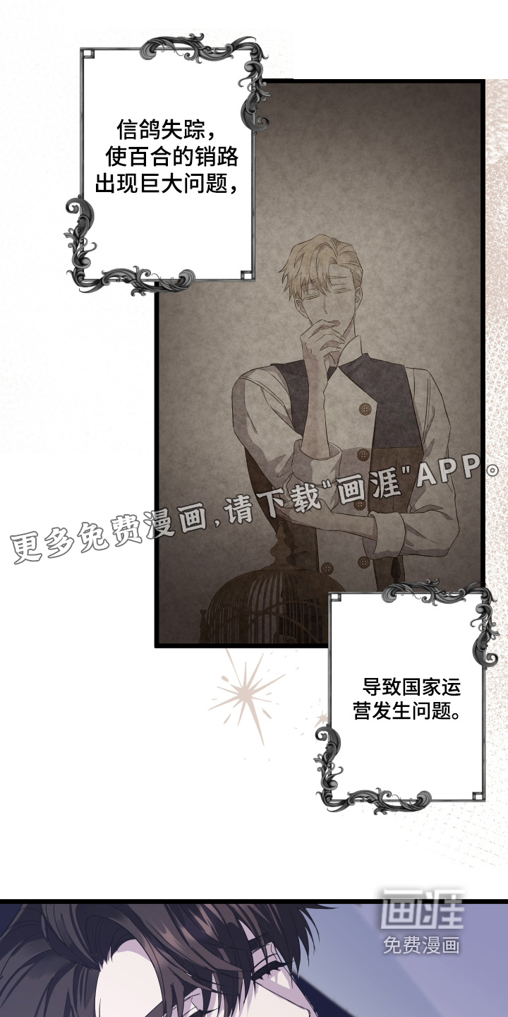 披风下的誓言第14话图