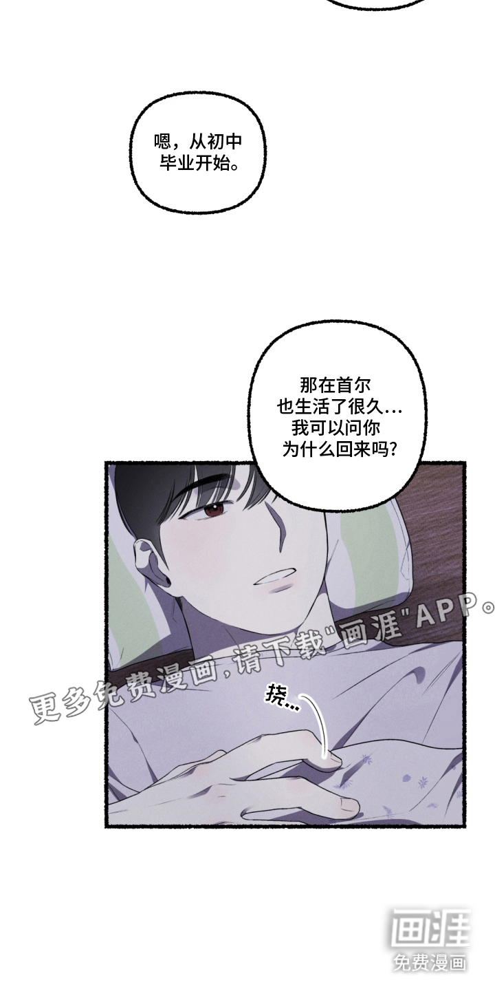 瓶中的海男第11话图