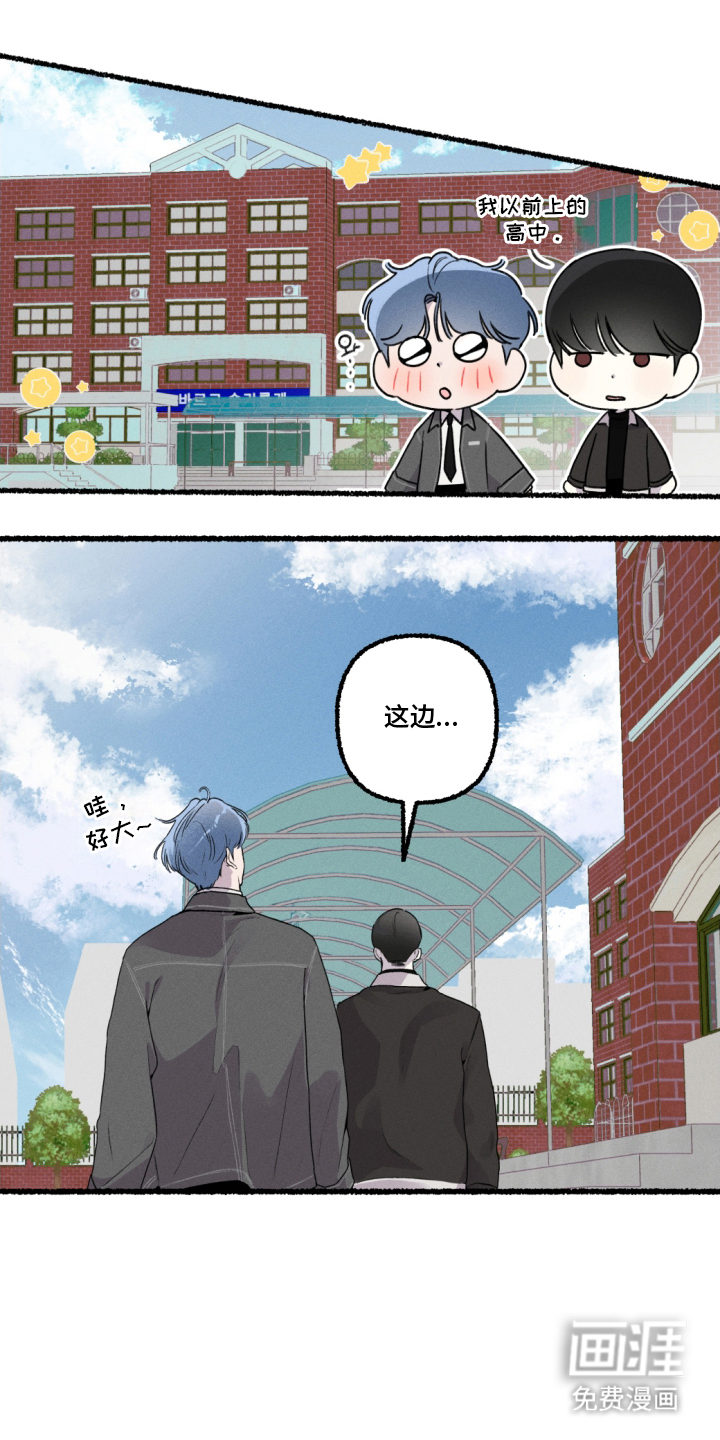 瓶中的海男第13话图