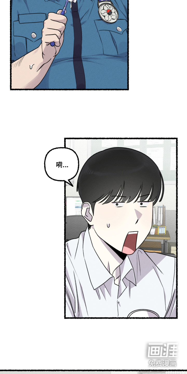 瓶中的海男第8话图