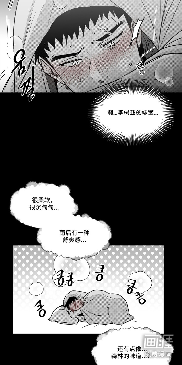 破碎花环之约漫画-图17