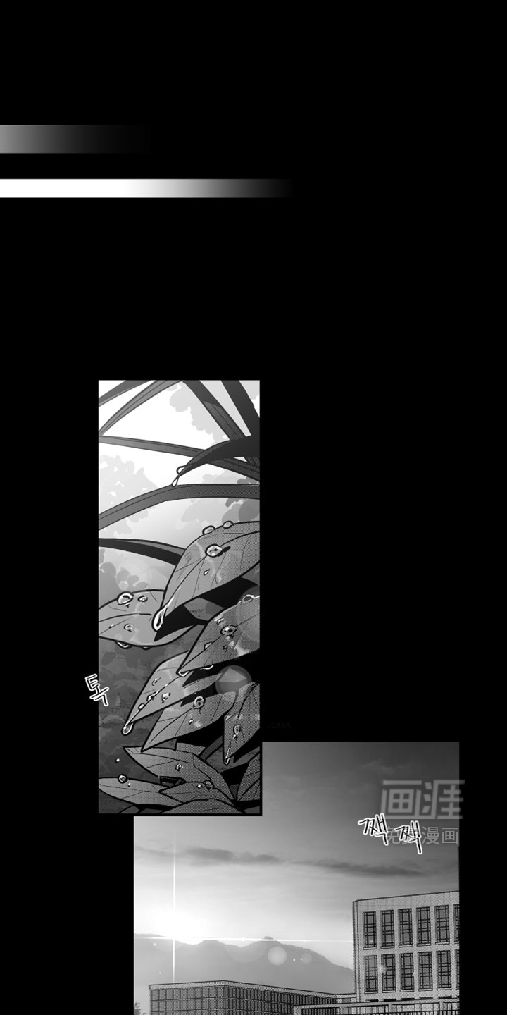 破碎花环之约漫画-图0