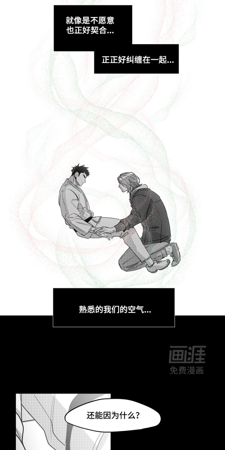 破碎花环之约漫画-图9