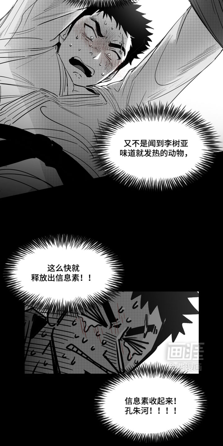 破碎花环之约漫画-图6