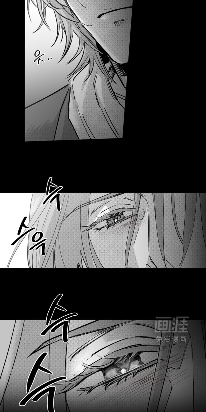 破碎花环之约漫画-图14