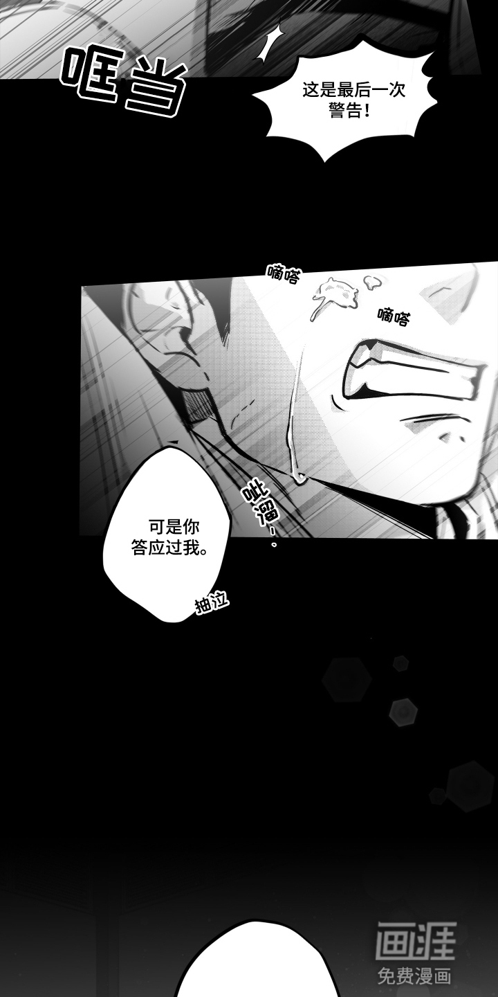 破碎花环之约漫画-图14