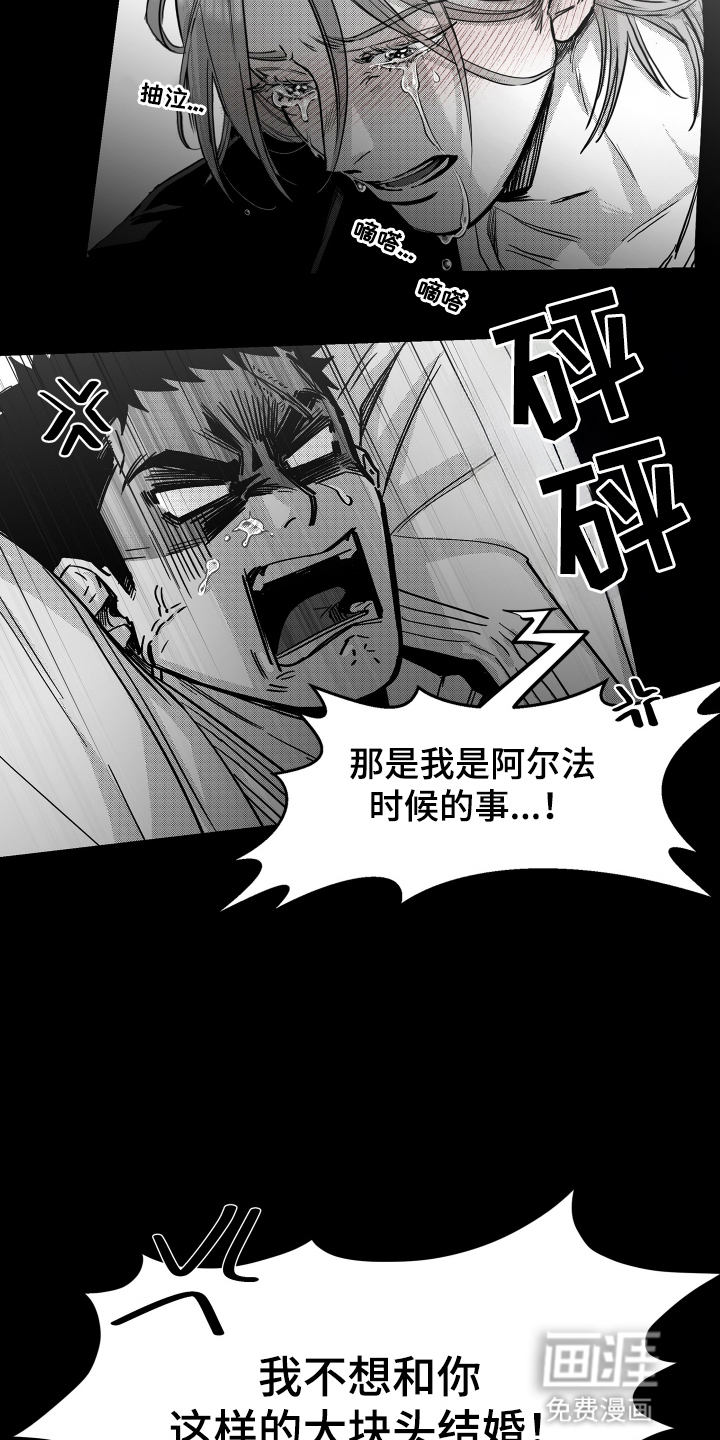 破碎花环之约漫画-图16